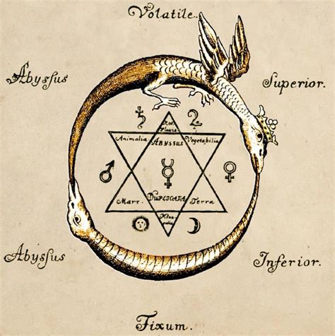 Výsledek obrázku pro ouroboros alchemy | Ouroboros, Alchemy, Eternal return