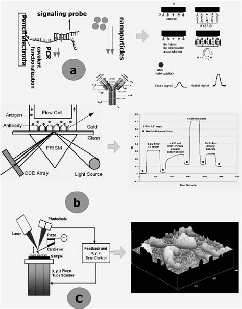 Detection of chemical/biological agents using (a): Electrochemical ...