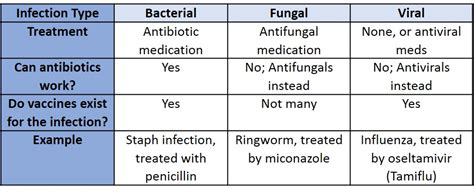 Different Treatments for Different Pathogens | Ask A Biologist