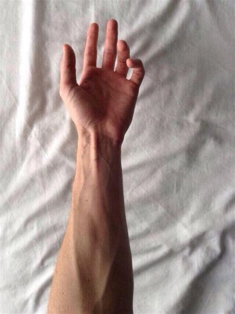 Veiny Forearms Attractive