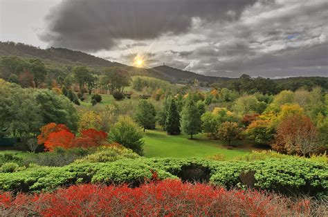 Mt Lofty Botanic Gardens | shades of autumn ... photographed… | Flickr