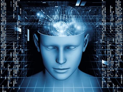 Scientists Closing in on Theory of Consciousness | Live Science