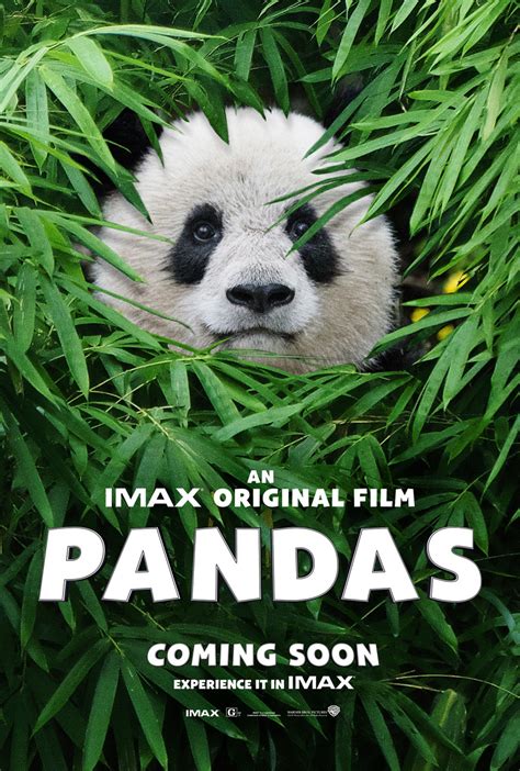 Pandas (2018) - Whats After The Credits? | The Definitive After Credits Film Catalog Service