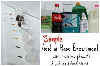 Acid or Base Experiment - Hip Homeschool Moms