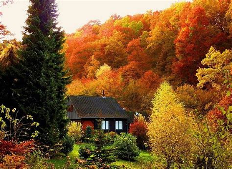 Autumn Cabin, Beautiful Fall Cabin HD wallpaper | Pxfuel