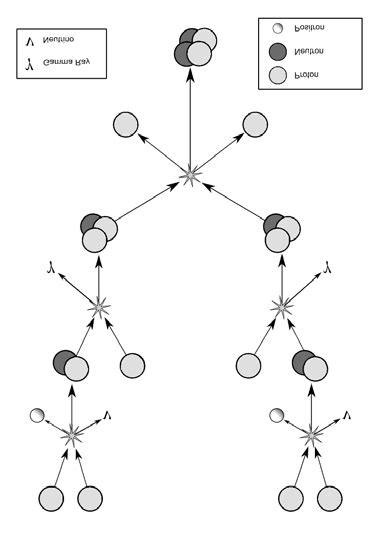 The proton-proton chain is at the base of nuclear fusion in stars the... | Download Scientific ...