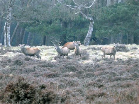 Hoge Veluwe National Park - all you need to know! - We12Travel