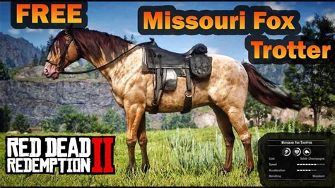 How To Get Missouri Fox Trotter Horse Tips RDR2 - YouTube