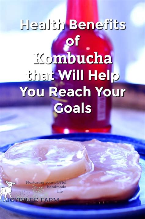 Health Benefits of Kombucha that Will Help You Reach Your Goals | Joybilee® Farm | DIY | Herbs ...