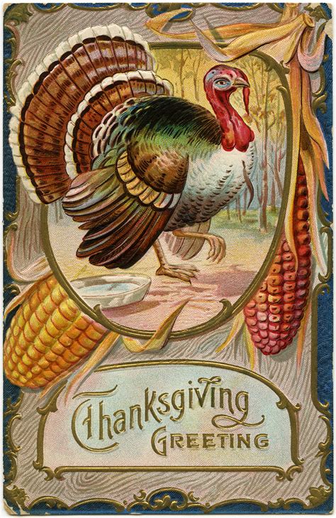 Thanksgiving Greeting Turkey Postcard - The Old Design Shop