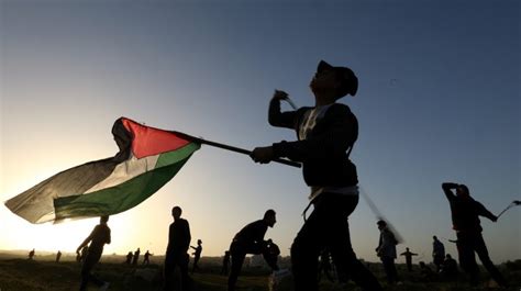 The Palestine Struggle for Liberation: Where Do We Go from Here? : IEMed