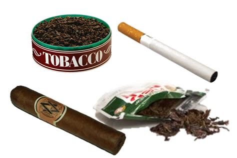 Tobacco industry worsening global pollution, deforestation: Expert - INDIA New England News