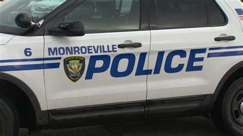 MONROEVILLE DRUG SEIZURE: Fentanyl, heroin, guns removed from home on Monroeville Blvd.