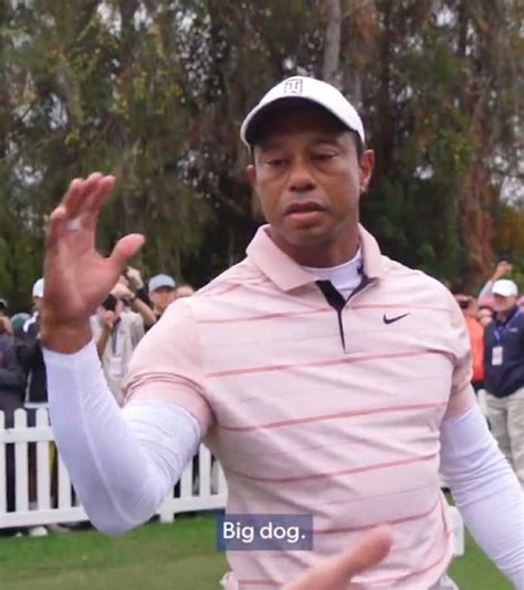 Tiger Woods - Big Dog Memes - Imgflip