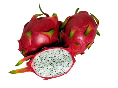 Dragon Fruit White – Koerner Agro Export Center