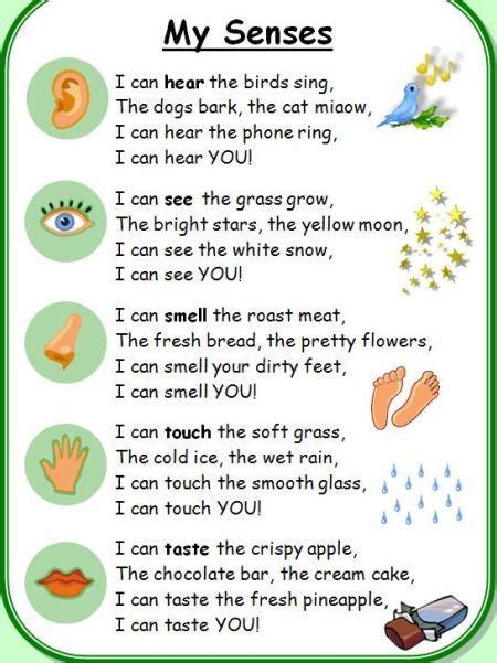 Verbs of perception and five senses poems | Senses preschool, Kids poems, Five senses preschool