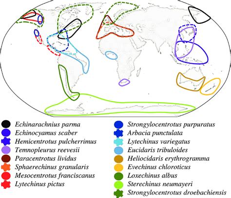 3 Geographic distribution of the main sea urchin species cited in this ...