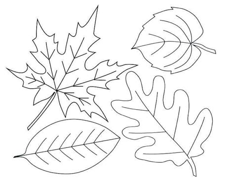 Printable Leaf Coloring Pages