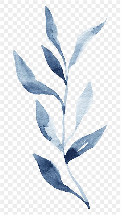 Blue leaves in watercolor png | Free stock illustration | High Resolution graphic