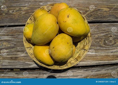 Indian Mangoes Stock Photo | CartoonDealer.com #20367852