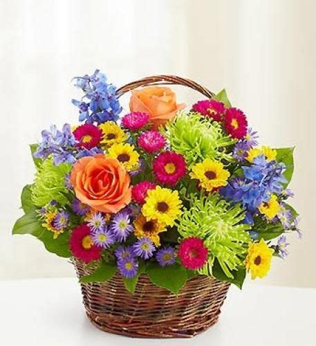 Springtime Garden Basket : College Station Florist : College Station TX Flower Delivery ...