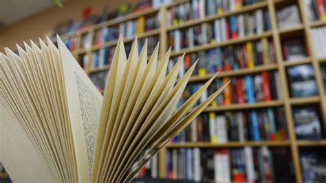 Le visage changeant des bibliothèques | Radio-Canada.ca