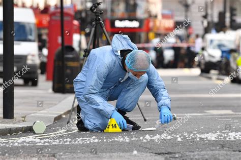 Forensic Police Officer Gathers Evidence That Editorial Stock Photo - Stock Image | Shutterstock