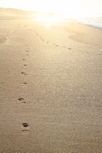 Premium Photo | Footprints in the sand at sunset