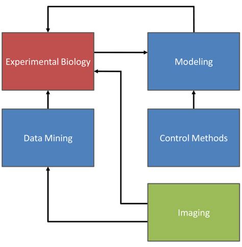 Components of systems biology. Systems biology supplements experimental ...