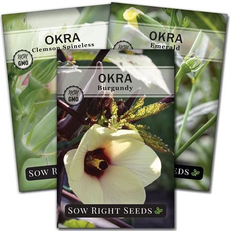 Okra Seed Collection for Planting in Your Home Vegetable Garden – Sow ...