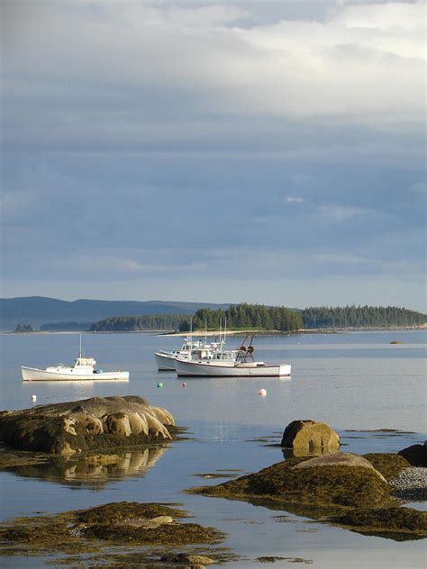 Lobster Boats in Stonington Maine Photograph by Dana Moos - Fine Art ...