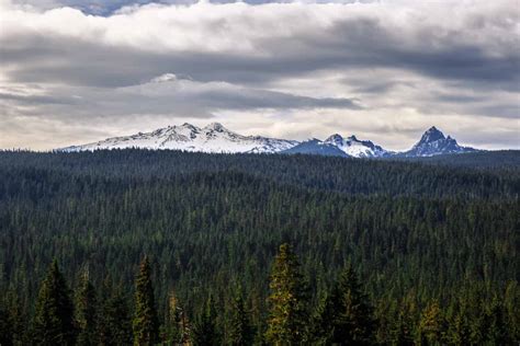 Discover the Top 9 Tallest Volcanoes in Oregon - A-Z Animals