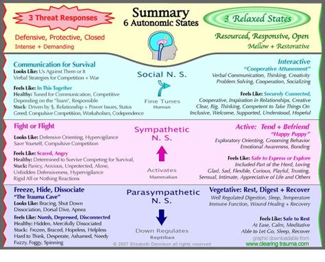 Polyvagal Theory Exercises Pdf - pdfjuld