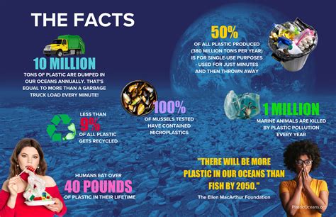 Factfile: Plastic and pollution | News