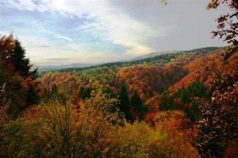 National Park: Kozara - Excursions