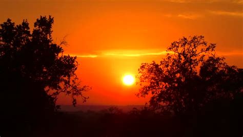 A Red Sunset Over An African Savanna Stock Footage Video 2675936 - Shutterstock