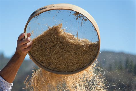 Sorting the wheat from the chaff | Hawksmoor Investment Management