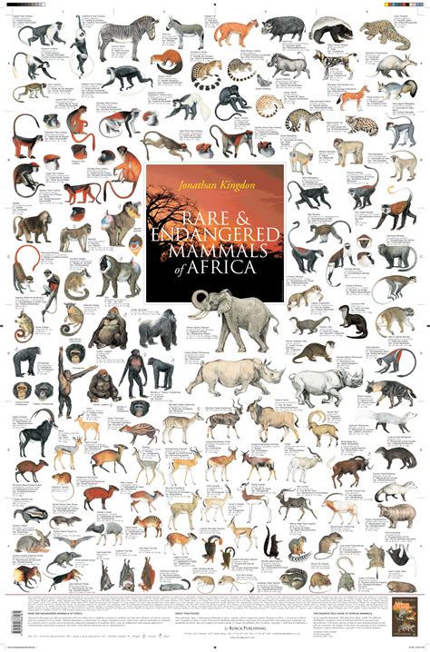 Rare & Endangered Mammals of Africa | Korck Posters