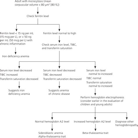 Evaluation of Microcytosis | AAFP