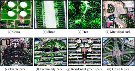 Examples of vegetation types (a-c) and vegetation patches with various... | Download Scientific ...