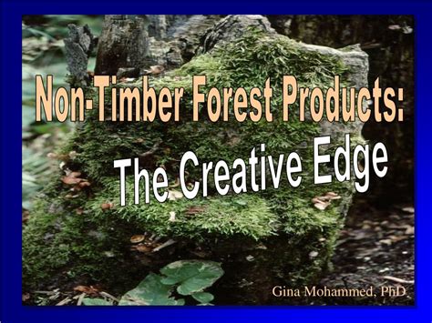 PPT - Non-Timber Forest Products: PowerPoint Presentation, free ...