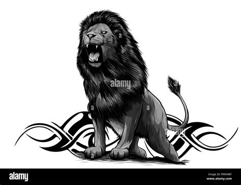 Angry lion drawing hi-res stock photography and images - Alamy