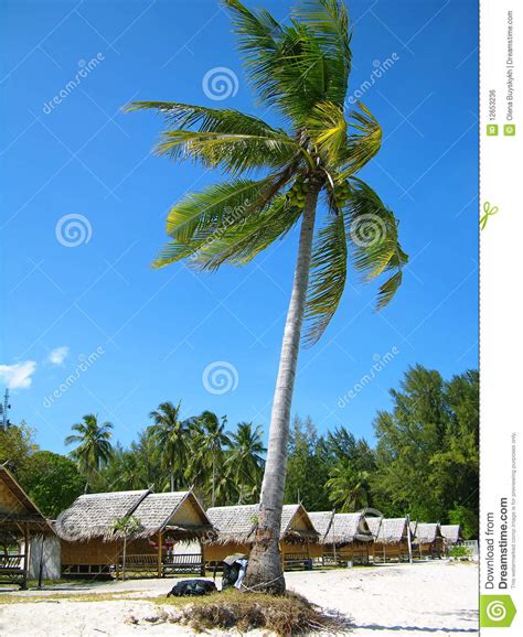 Beach of Tropical Island, Thailand Stock Photo - Image of nature, green ...