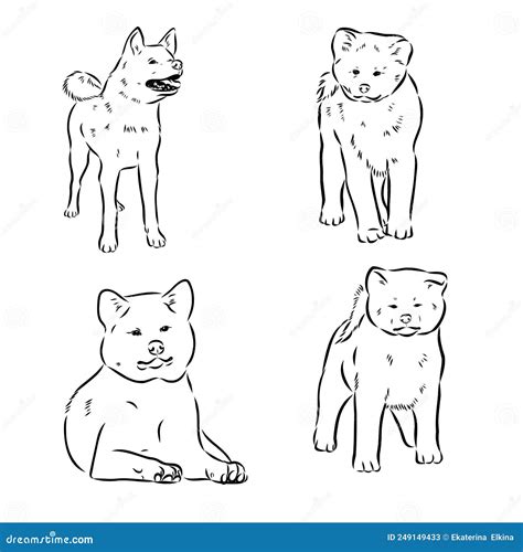 Akita Dog Face - Isolated Vector Illustration Akita Inu Dog Vector Stock Vector - Illustration ...