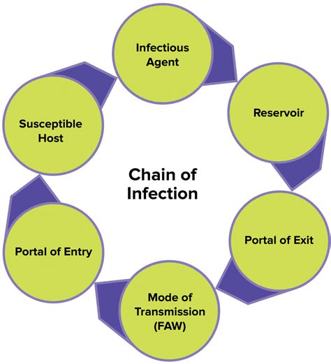 Diagram Of The Chain Of Infection