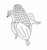 Corn Doodle Vector Illustration coloring book For Kids 21039735  sketch template