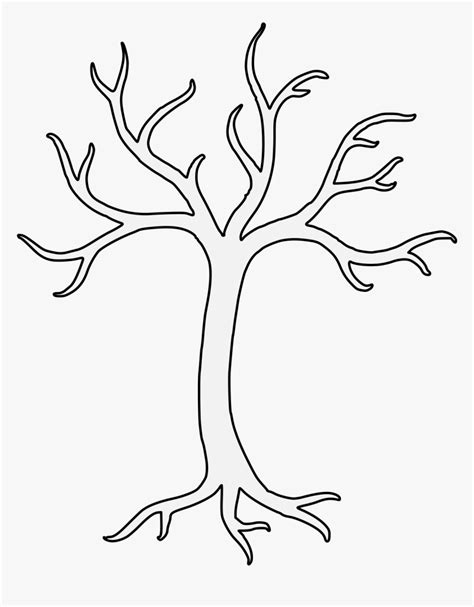 Tree Branch Outline