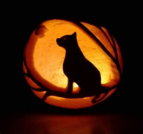 Cat in a tree pumpkin carving. I carved this last night for my work's pumpkin contest (at an ...