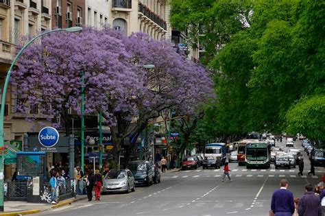 Las 10 mejores cosas que hacer en Palermo - Buenos Aires