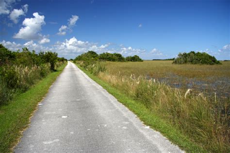 6 Incredible Biking Trails and Paths Near Jacksonville, FL – Tom Bush ...